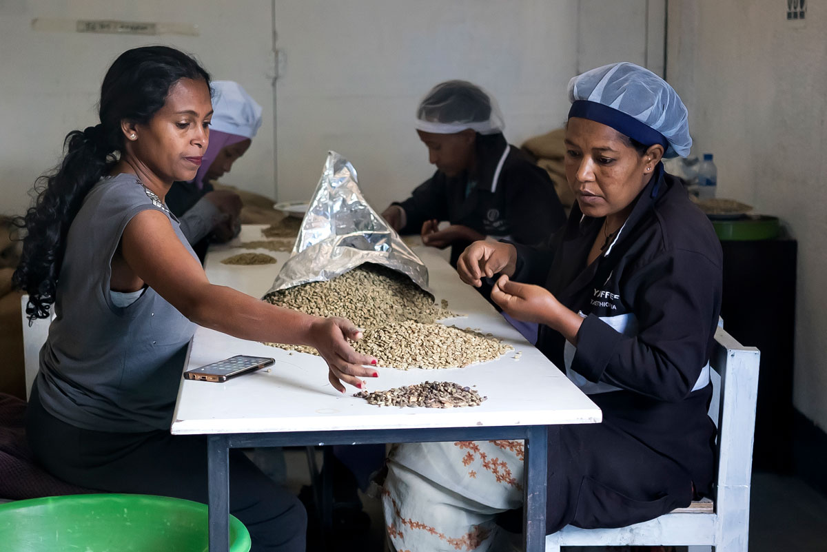 mujer trabaja en un laboratorio