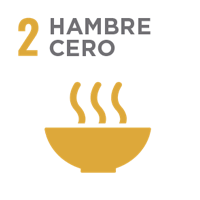 HAMBRE CERO