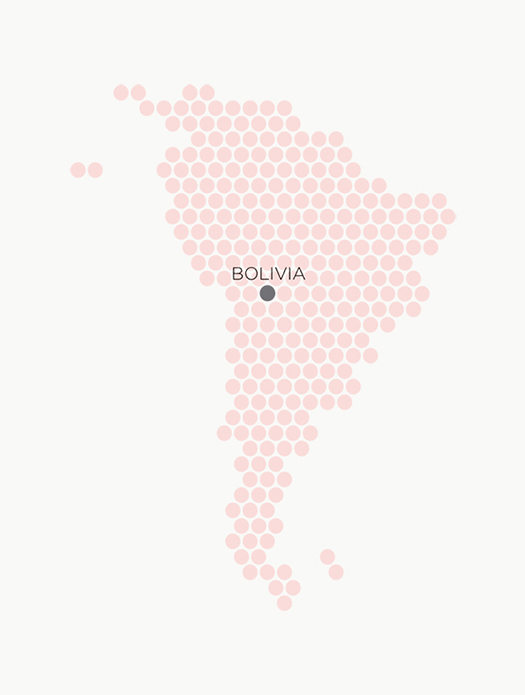 Mapa situación Bolivia